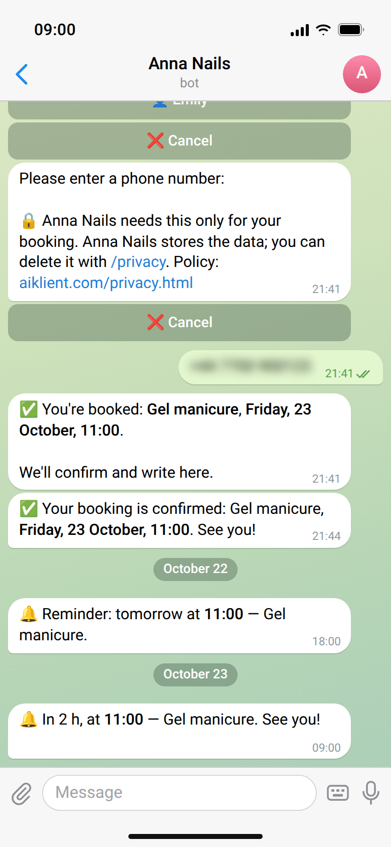 Booking confirmation and two reminders: the evening before at 18:00 and 2 hours before the visit